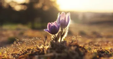 なぜ、フレアリンクは“オーダーメイドIT/DX人材育成”にこだわるのか