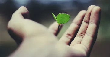 「エンジニアを創るエンジニアリング」の職人、フレアリンクの技術指導者とは。