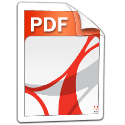 PDF発表資料